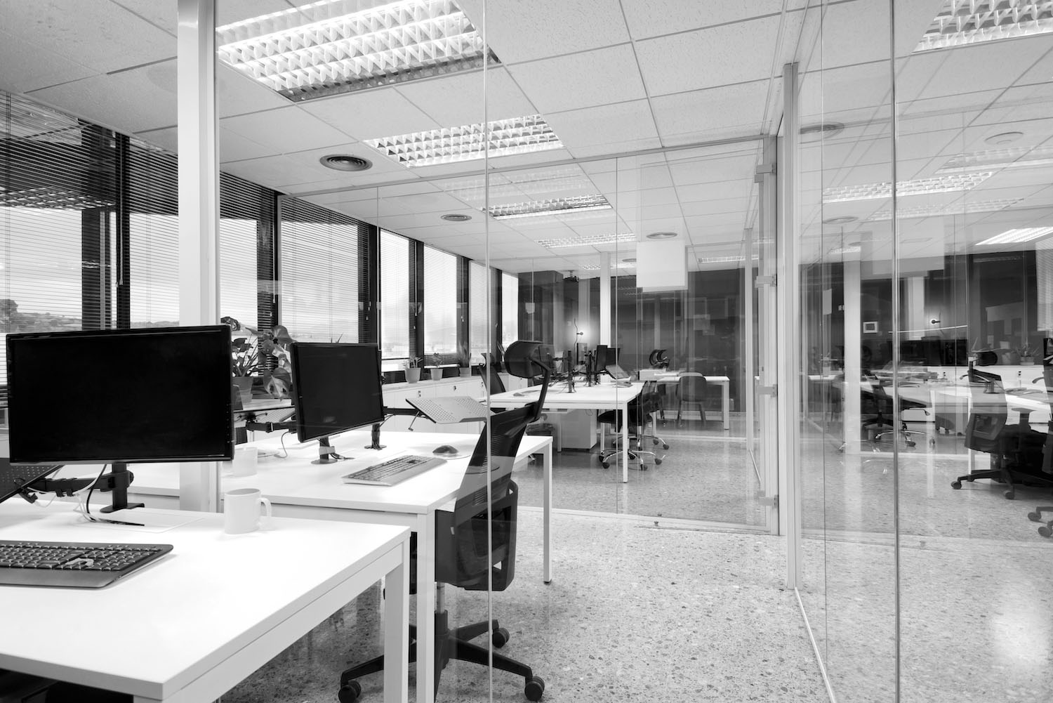 Open space office with computer monitors on white desks